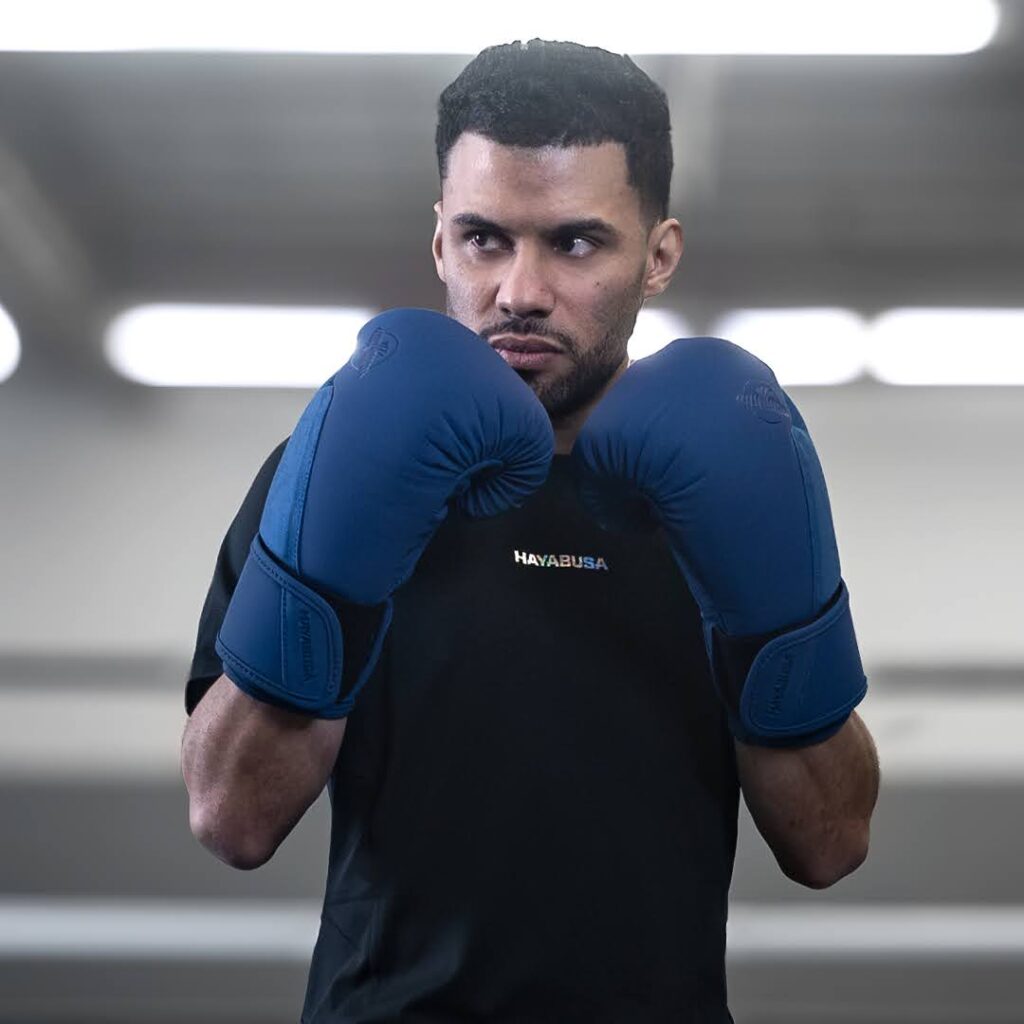 Hayabusa T360 Training Gloves