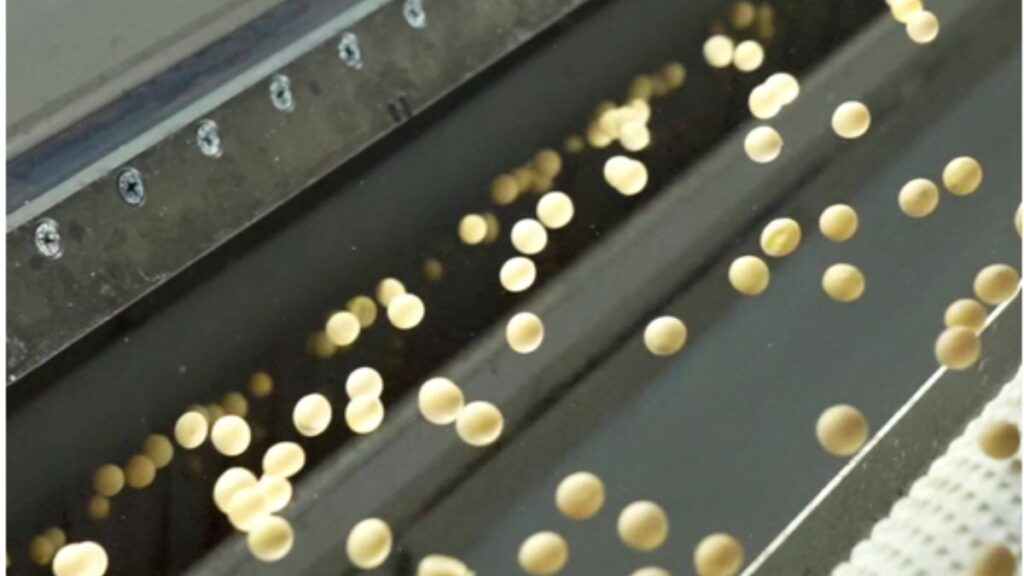 Understanding Color Sorter Machines and Their Applications Across Industries