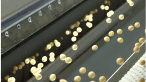 Understanding Color Sorter Machines and Their Applications Across Industries