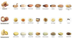 Features of Color Sorter Machine