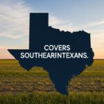 409 Area Code: Location, History, and What You Should Know